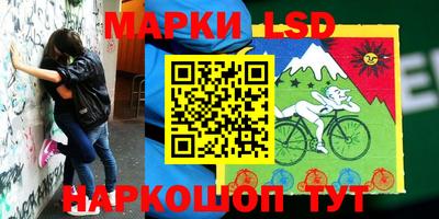 прущие крисы Гатчина