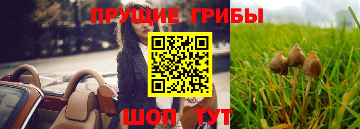 Можга  Псилоцибиновые грибы Psilocybe  Вход с VPN  Псилоцибиновые грибы Magic Shrooms 